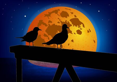 Two seagulls on a moon background. Colorful vector.のイラスト素材