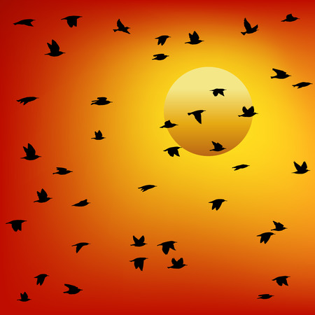 Flock of birds at sunset. Colorful vector.のイラスト素材