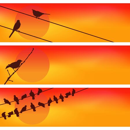 Birds against the sunset. Three Colorful Vectors.のイラスト素材
