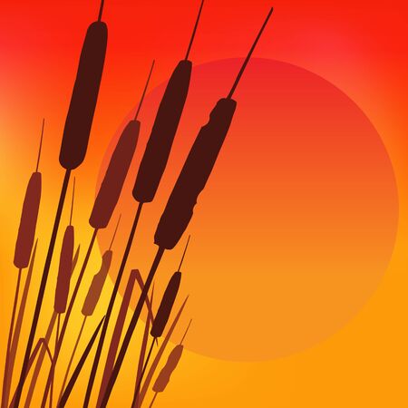 Hot Summer Sunset background.のイラスト素材