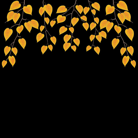Yellow leaves over black. Autumn vector backgroundのイラスト素材