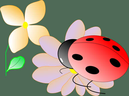 ladybirdのイラスト素材