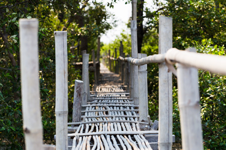 Natural bamboo bridge cast to forrestの写真素材