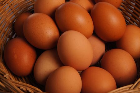 eggsの写真素材