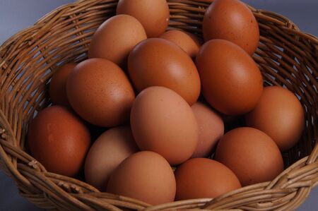 eggsの写真素材