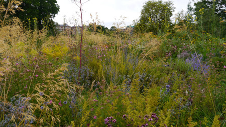 Oxford English Gardensの写真素材