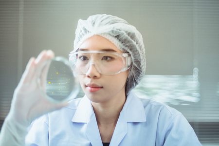 Focused senior life science professional grafting bacteria in the pettri dishes. Lens focus on the pipetteの写真素材