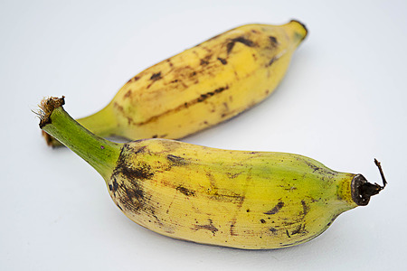 Yellow bananas.の写真素材
