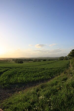 Sunset over fieldの写真素材