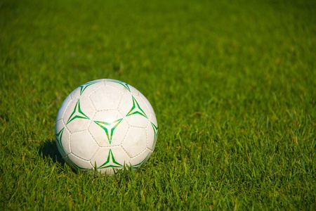 Soccer Ball in the Grass