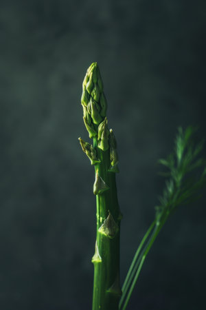 green healthy asparagus vegetables closeupの素材