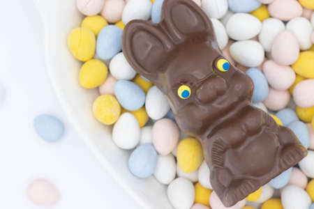 Chocolate bunny laying on candy eggsの写真素材