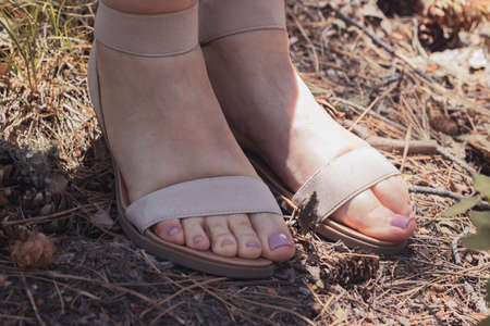 Feet with tan shoes and a pedicure surrounded by pine needles and pine cones in the fall.