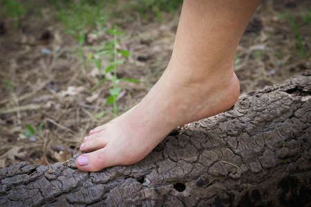 Bare foot with a pedicure gently resting on the bark of a wooden log in natureの写真素材