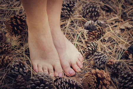 Bare feet with a pedicure surrounded by pine needles and pine cones in the fall.の写真素材