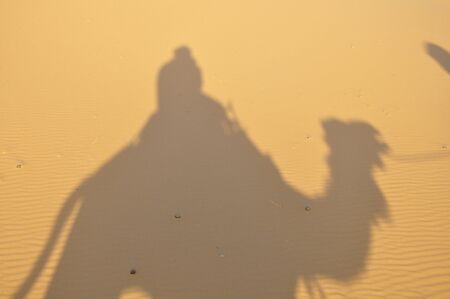 Sahara desert and camel silhouetteの写真素材