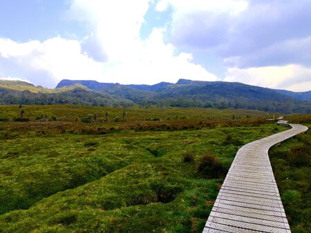 wooden pathの写真素材