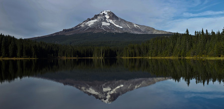 Trilliumの写真素材