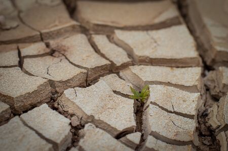 Natural Drought concept:Dried cracked earth soil ground texture background.desert rough land dry crack erosion in the ground due to drought.Dry red clay soil texture, natural floor backgroundの写真素材
