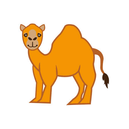 Illustration vector cartoon camel designのイラスト素材