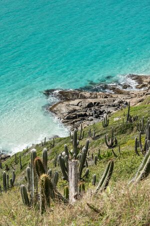 View looking down the cactus covered hillside to the of Aqua Menthe colored tropical turquoise water at Prainhas do Pontal do Atalaia Beach, Arraial do Cabo. The sea is calm with white sand and rocks.の写真素材