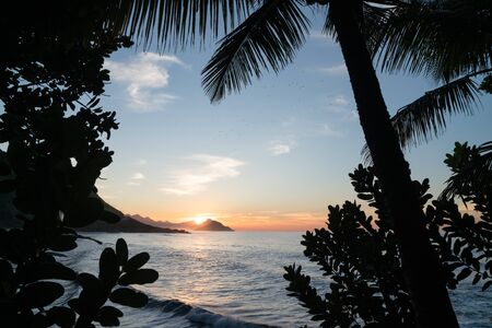 A golden sunrise from Prainha Beach in Rio de Janeiro with selective focus on the silhouetted tree leaves framing the view. There are orange clouds, waves, blue sea and the sun over Pedra da Gavea.の写真素材