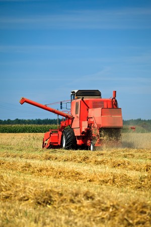 Red combine harvester working in a wheat field 