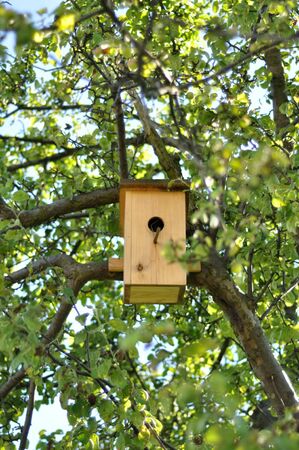 nice wooden birdhouse on green tree
