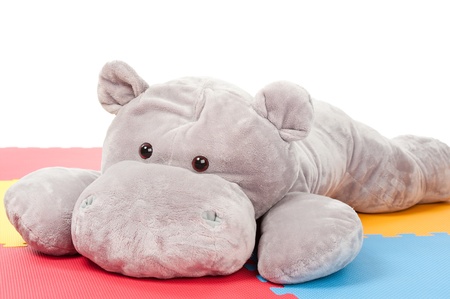 gray hippo on the colorful floorの写真素材