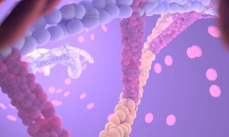 DNA molecules types, 3d render