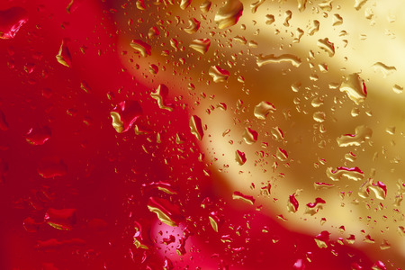 bright red flower through the glass with raindropsの写真素材