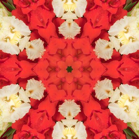 Flowers gladiolus in the form of a picture of a kaleidoscopeの写真素材
