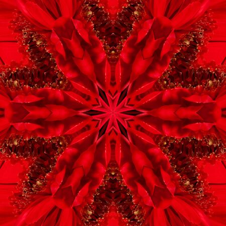 Red gerbera flower in the form of a picture of a kaleidoscopeの写真素材