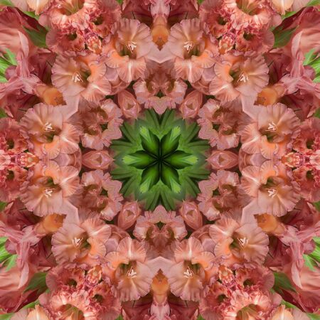 Beige flowers gladiolus in the form of a picture of a kaleidoscopeの写真素材