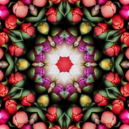 Multicolored tulips in the form of a picture of a kaleidoscopeの写真素材