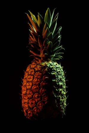 Ripe textured pineapple on a black backgroundの写真素材