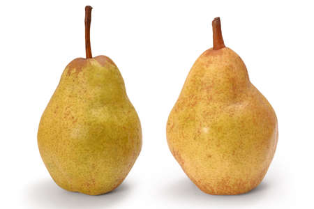 Two ripe pears on white background. Full depth of field.の写真素材