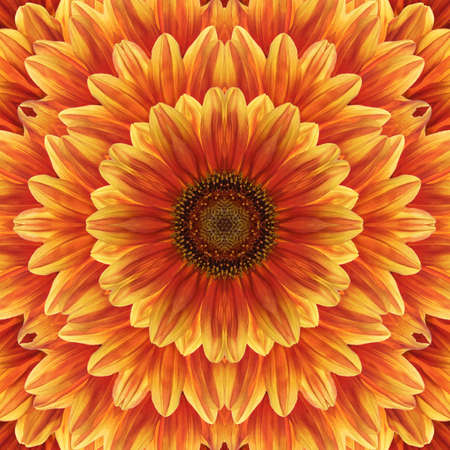 Sunflower decorative flowers in the form of a picture of a kaleidoscopeの写真素材
