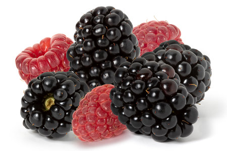 Several blackberries and raspberries close-up on a white background. Full depth of field.