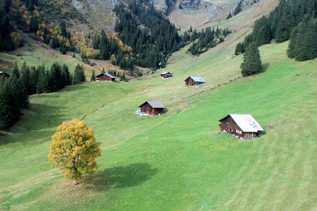 Views of the valley