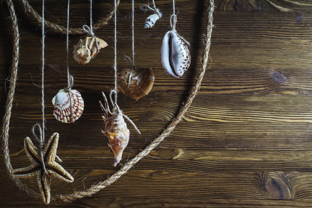 Seashells and starfish hanging on the rope, vintage styling.の写真素材