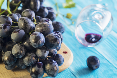 Grapes and wine glass on a blue wooden table. Branch of fresh ripe red grapes. Beautiful background with a branch of blue grapes. Dark red wine grapes.の写真素材
