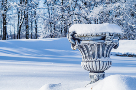 Big flower pot covered in fresh snow in winter park.
の写真素材