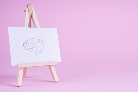 Sketch hand drawn brain on small decorative easel. Human brain side view.の写真素材
