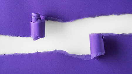 Violet paper is torn over white background for message. Template for your text.の写真素材