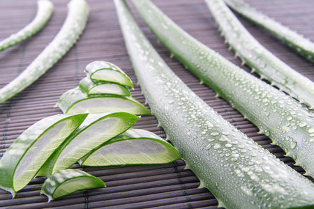 Aloe vera gel with aloe vera leaves on wooden table. natural cosmetic ingredients. Fresh aloe vera plant on wooden board, close-up.の写真素材