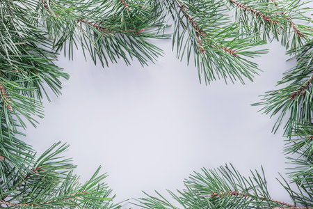 Christmas white background with fir branches. Frame made of fir tree branches with copy space. Christmas wallpaper concept. top viewの写真素材