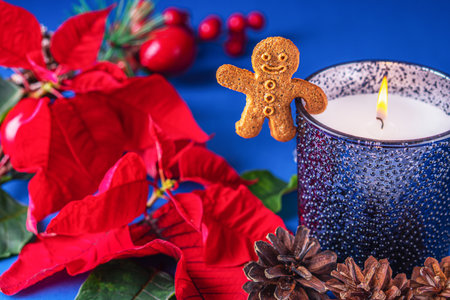 Holiday card - red flower poinsettia,gingerbread cookie man burning scented candle in blue glass holder on blue background. Christmas decorations Festive handmade gift concept.の写真素材