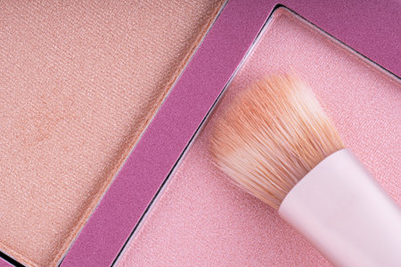 Brush gains pink blush, macro. Professional blusher palette, top view.の写真素材