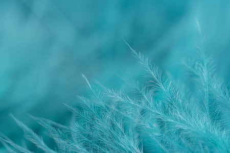 Green turquoise feathers in soft and blur style for background, macro shot. Green turquoise and blue color trends feather texture backgroundの写真素材